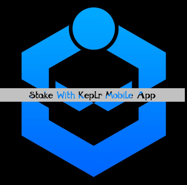 Shido Turtorials Stake 